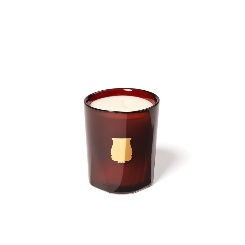 Trudon - Cire Candle